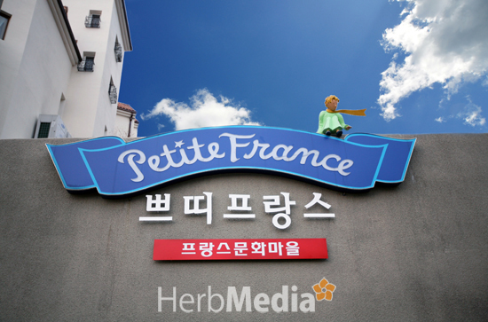 탑미디어 이미지
