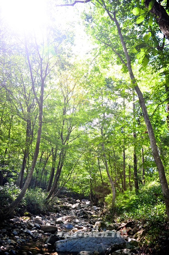 운장산자연휴양림 이미지
