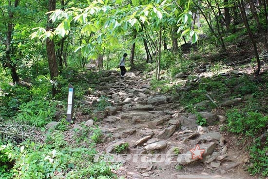 정상에 다다르는 길 이미지