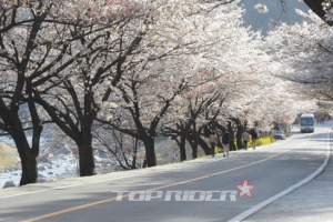 국토부, 한국의 경관도로 52선 선정…“이번 주말엔 이곳으로”