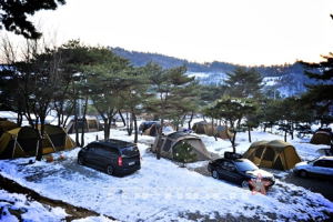 [솔로캠퍼의 슬로캠핑] 양평 솔뜰캠핑장, 피톤치드에 쉼을 얻어요