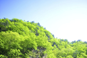 [솔로캠퍼] 다시 찾아온 여름, 계곡 캠핑 떠날까