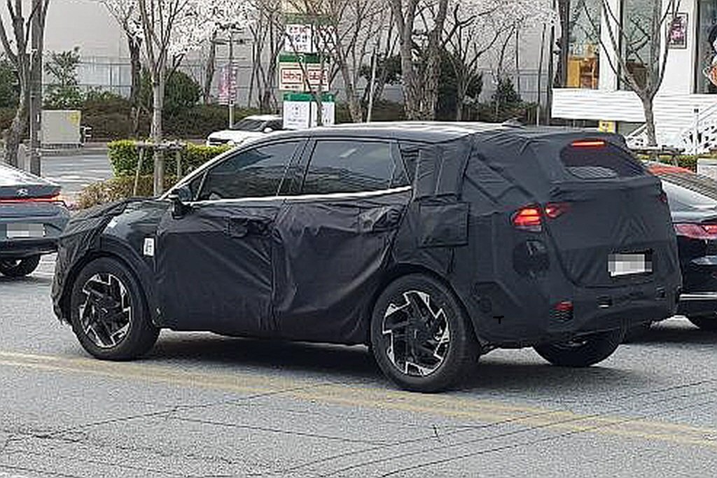 사진: 보배드림 신지면동고리님