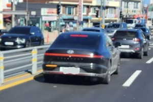 현대차 그랜저 풀체인지 실물 포착, 후방 방향지시등은 범퍼에